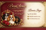 BRONARNIES (Cavalier King Charles Spaniel)